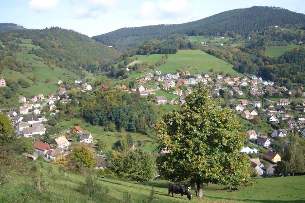 Yourte Des Verts Bois Freland Exterior photo